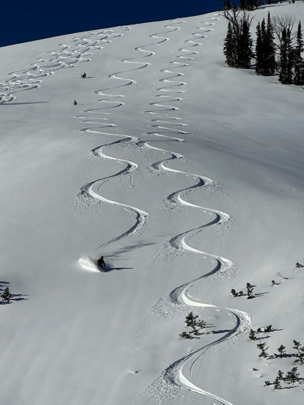 Heli-skiing with Soul Powder Guide