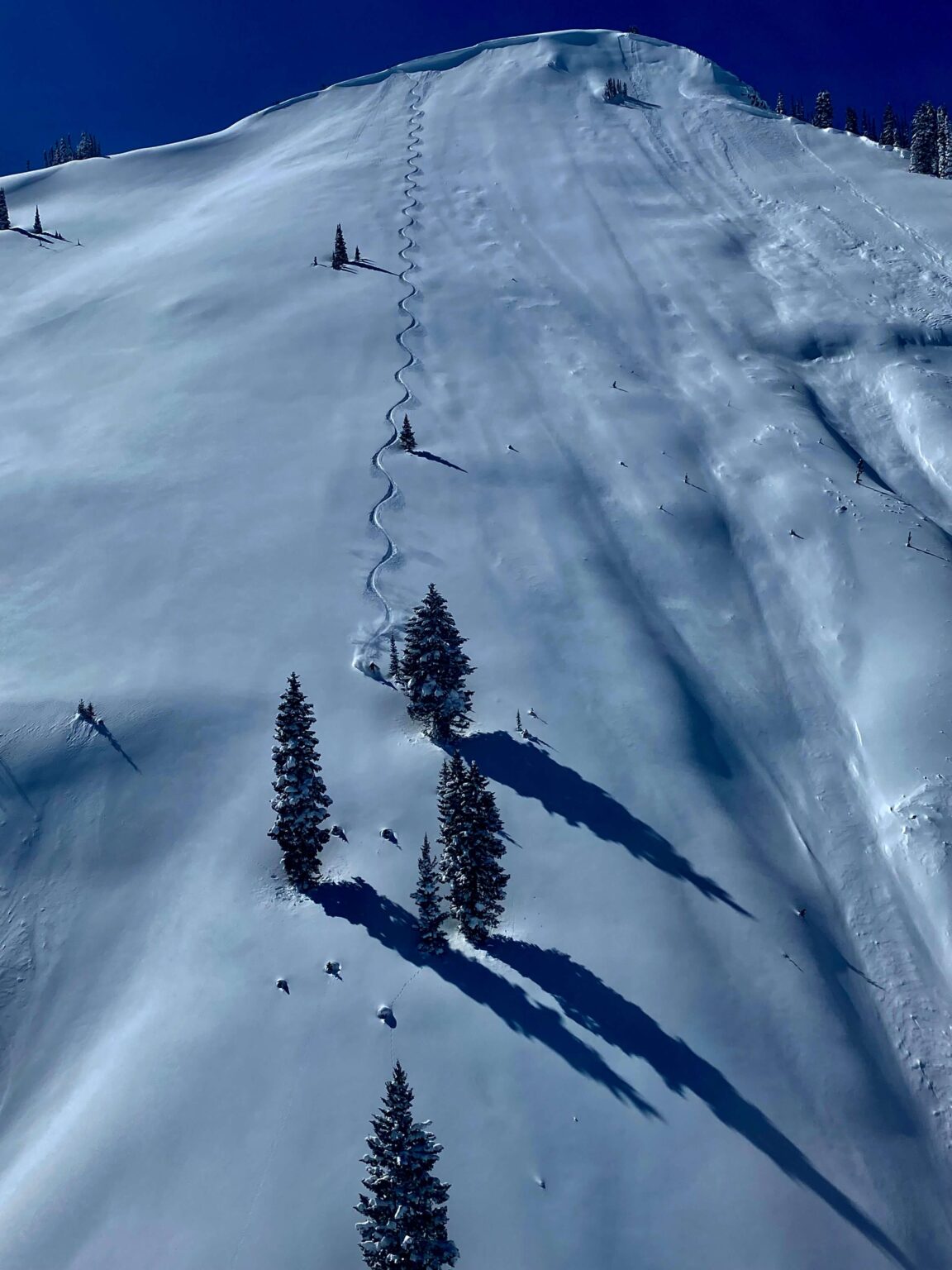 Ski tracks through the trees, Wyoming